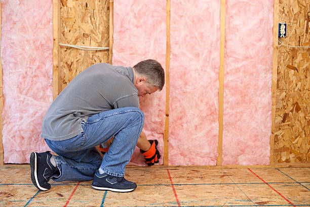 Best Basement Insulation  in Savannah, TX